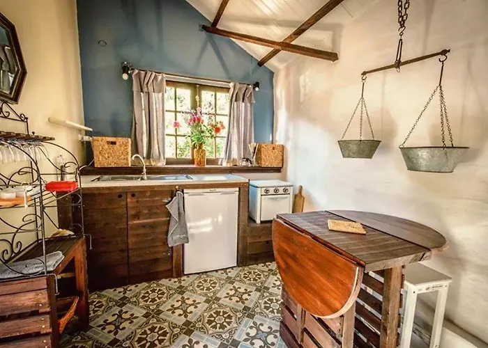 Unique Tiny House With Natural Building Techniques フィゲイロー・ドス・ヴィーニョス