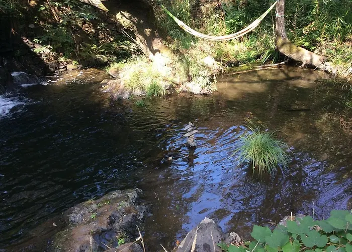 Campingplads Unique Tiny House With Natural Building Techniques Figueiro Dos Vinhos