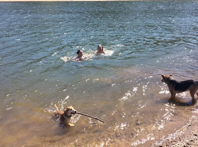 Campingplads Unique Tiny House With Natural Building Techniques *