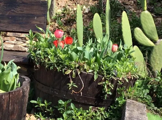 キャンプ場 Unique Tiny House With Natural Building Techniques *