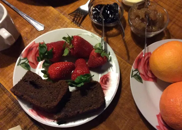 Unique Tiny House With Natural Building Techniques キャンプ場 フィゲイロー・ドス・ヴィーニョス