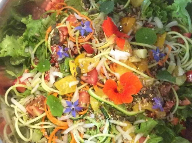 キャンプ場 Unique Tiny House With Natural Building Techniques