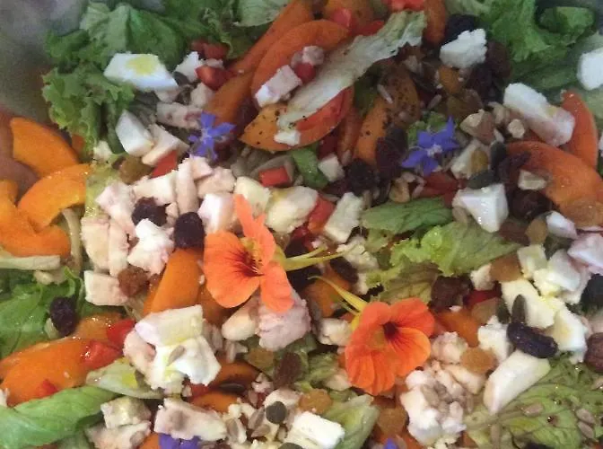 Unique Tiny House With Natural Building Techniques キャンプ場