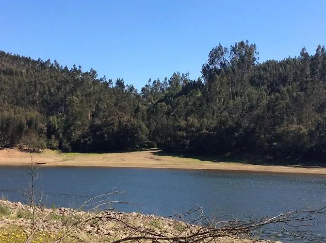 Unique Tiny House With Natural Building Techniques