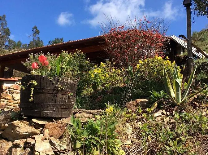Unique Tiny House With Natural Building Techniques キャンプ場 *