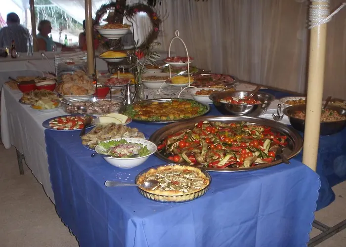 Unique Tiny House With Natural Building Techniques フィゲイロー・ドス・ヴィーニョス