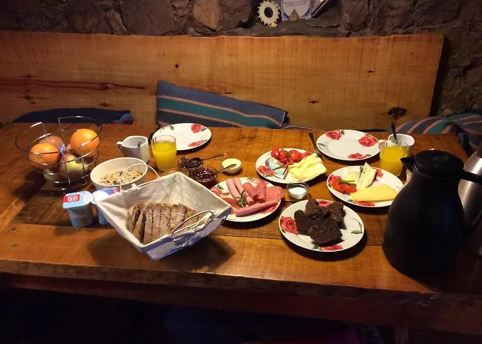 Unique Tiny House With Natural Building Techniques Figueiro Dos Vinhos