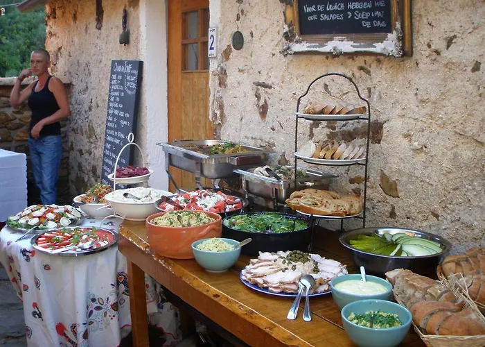 Unique Tiny House With Natural Building Techniques