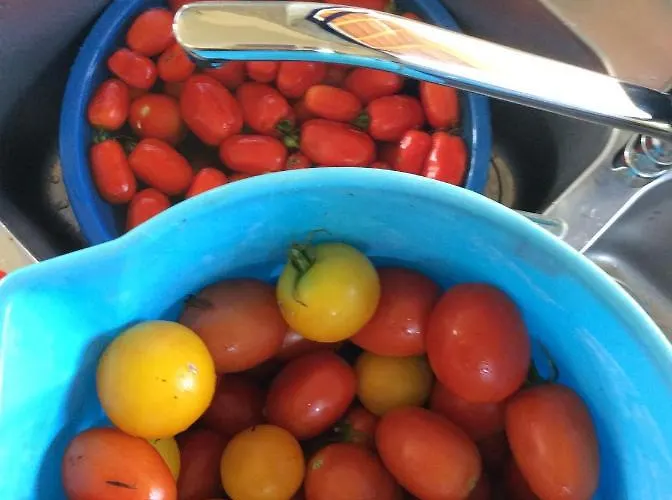 Unique Tiny House With Natural Building Techniques *