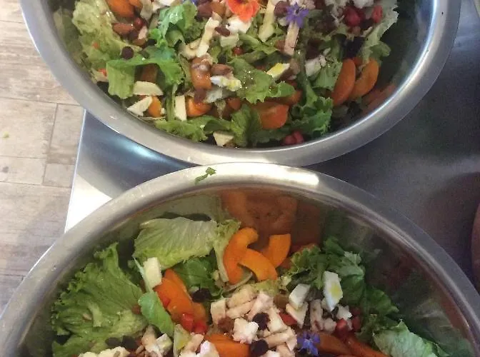 Unique Tiny House With Natural Building Techniques * フィゲイロー・ドス・ヴィーニョス