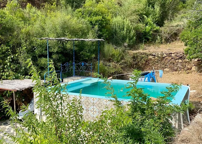 Campingplads Unique Tiny House With Natural Building Techniques Figueiro Dos Vinhos