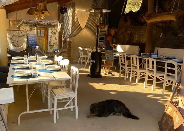 Unique Tiny House With Natural Building Techniques