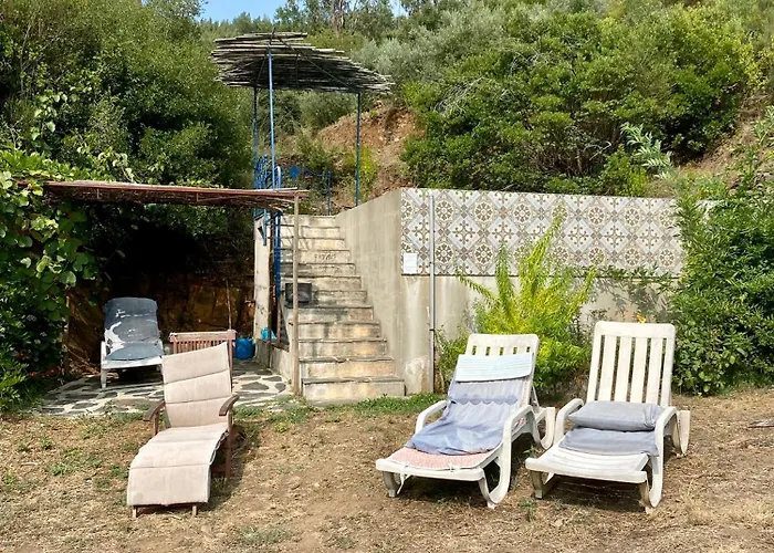 Unique Tiny House With Natural Building Techniques Campingplads