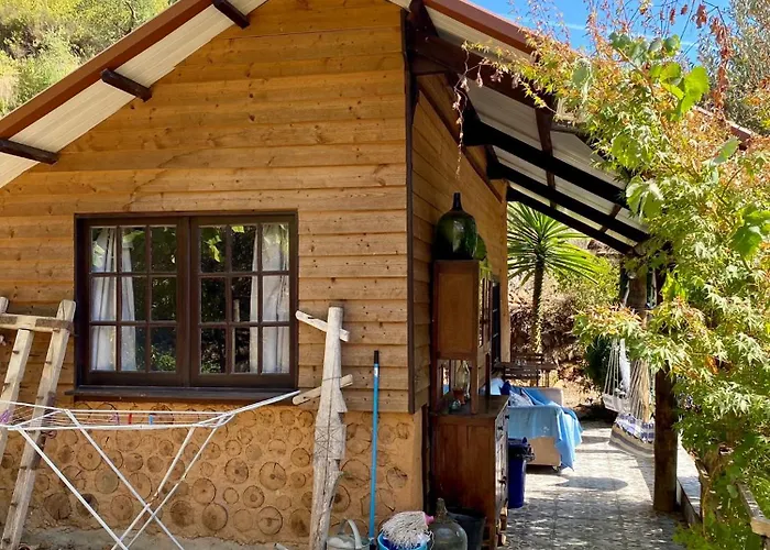 Campingplads Unique Tiny House With Natural Building Techniques