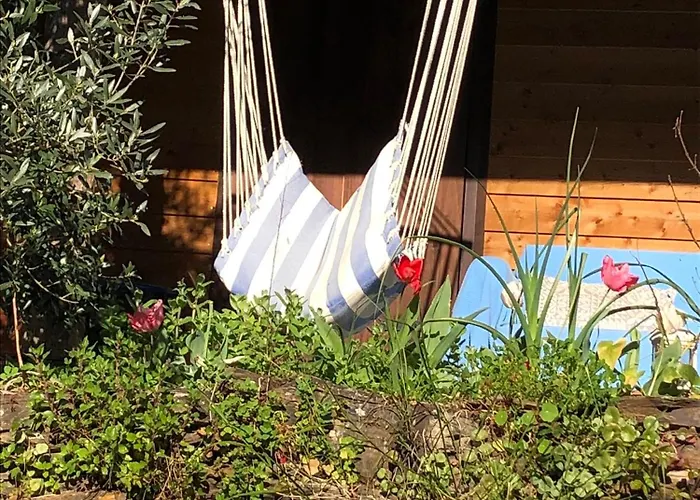 Unique Tiny House With Natural Building Techniques キャンプ場 *